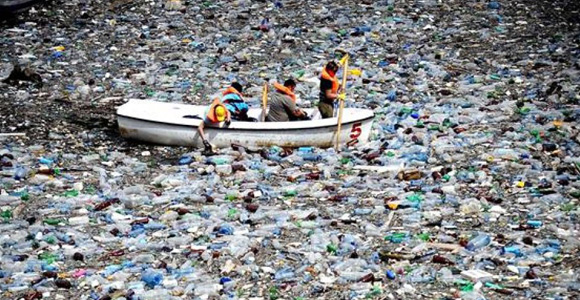 Environmental Harm Due To Plastic Water Bottles 112