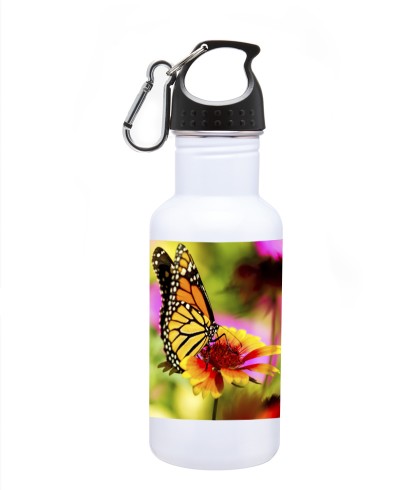 full color butterfly picture on stainless steel water bottle